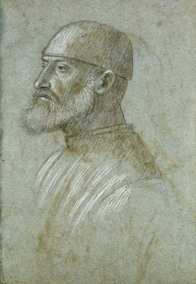 Testa di uomo barbuto con cappello, di profilo a sinistra da Vittore Carpaccio